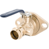 LegendPress Forged Brass Isolation Ball Valve with Rotating Flange