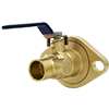 Forged Brass Isolation Ball Valve with Rotating Flange