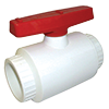 PVC Two-Piece Ball Valve with E-Z Turn Tee Handle