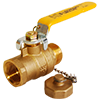 T-1002CC Forged Brass Ball Valve with Cap & Chain, FNPT x MGHT