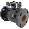 T-311 Cast Iron Swing Check Valve, Flanged