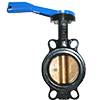 T-335AB Ductile Iron Wafer Butterfly Valve, Aluminum Bronze Disc, 10 Postion Lever Handle -EPDM, Wafer