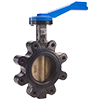 Ductile Iron Lug-Type Butterfly Valve with Aluminum Bronze Disc, EPDM Seat, and 10-Position Lever Handle