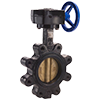 Ductile Iron Lug-Type Butterfly Valve with Aluminum Bronze Disc, Buna-N Seat, and Gear Operator Handle