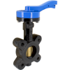 Ductile Iron Lug-Type Butterfly Valve with Aluminum Bronze Disc, Buna-N Seat, and 10-Position Lever Handle