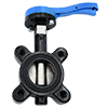 Ductile Iron Lug-Type Butterfly Valve with Ductile Iron Disc, Buna-N Seat, and 10-Position Lever Handle