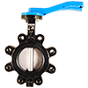 Ductile Iron Lug-Type Butterfly Valve with Stainless Steel Disc, Buna-N Seat, and 10-Position Lever Handle