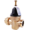 No Lead Cast Brass FNPT Union x FNPT Compact Pressure Reducing Valve with Thermoplastic Bonnet