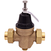 No Lead Cast Brass Pressure Reducing Valve Kit with Thermoplastic Bonnet & FNPT Union Adapters